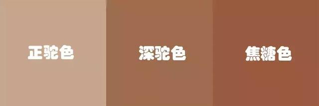 驼色是什么颜色，驼色大衣内搭什么颜色（请不要放过“驼色”）