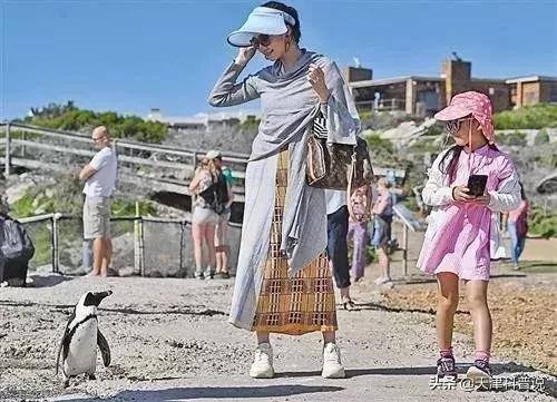 企鹅生活在哪里，老驴企鹅生活在哪里（企鹅只能生活在南极？不）