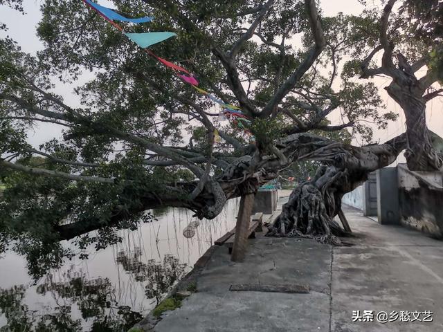 古代的胭脂水粉是什么东西做的，古代胭脂水粉用什么做的（潮汕民间制作香粉化妆品）