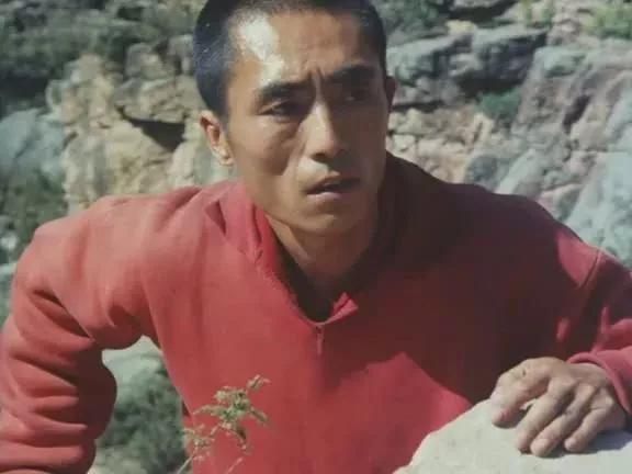 出品人下跪，半个电影圈大佬发声助阵，《百鸟朝凤》刺痛了谁？