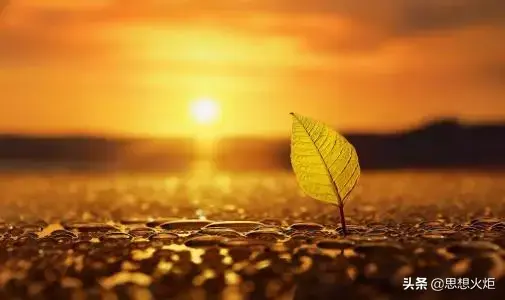 慎如何组词，慎组词（慎如何组词（领导干部要做到慎独慎初慎微慎友）