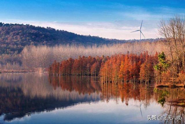 南京景点介绍，南京一日游必去景点推荐（南京九个不得不去的小众景点）