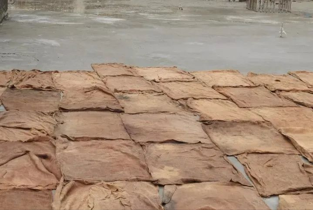 水泥 如何养护，水泥养护浇水（到底是在终凝前还是终凝后）