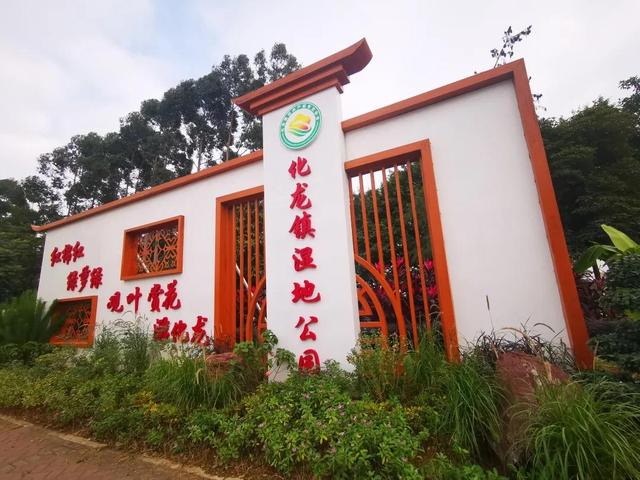 番禺化龙镇景区，快来pick你的“打卡点”吧
