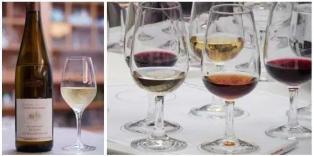 5 种最常见的葡萄酒杯，勃艮第红酒杯（酒杯怎么选）