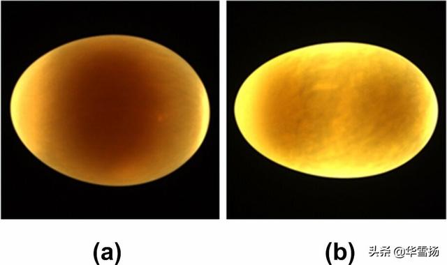 双黄鸭蛋怎么形成的,双黄海鸭蛋是如何生成(高邮人培育的双黄鸭蛋)