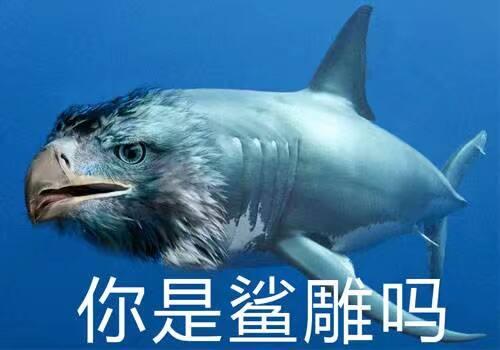 sd是什么意思，sd是什么意思追星（2018流行词语，来看一看吧）