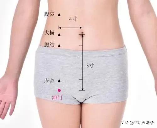 冲门的准确位置及作用，冲门的准确位置及作用图（脾经上重要穴位—舍府穴、冲门穴、箕门）