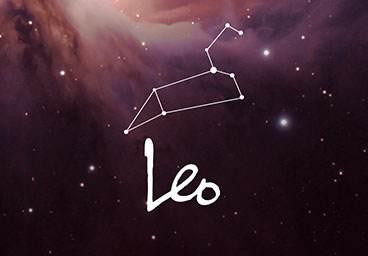 狮子男拿不住的女人，狮子男放不下的女人（具有领导气质的狮子）