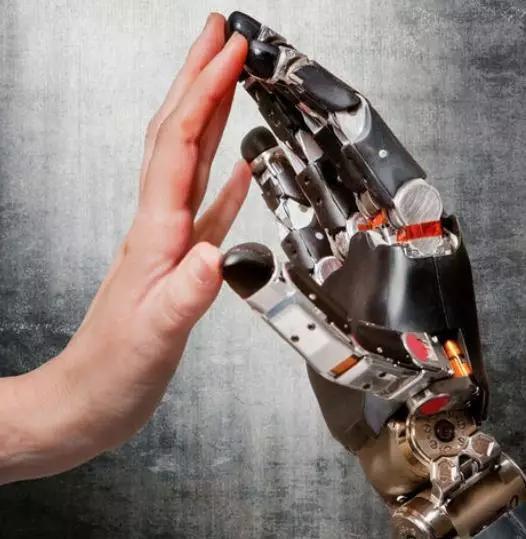 人有几根肋骨，人有几根肋骨女（人类骨骼的冷知识）