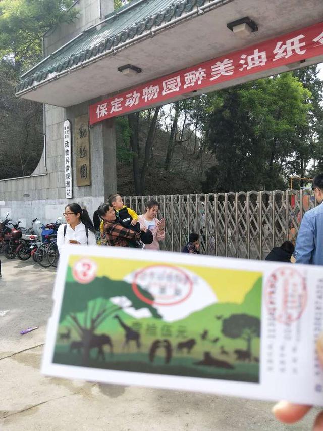 保定动物园里这几种动物特别有意思，保定市哪个动物园好玩（亲子逛吃逛吃逛吃~~）