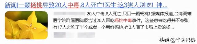 杨桃怎么算熟了，杨桃怎样才算熟了（这种常见的水果\