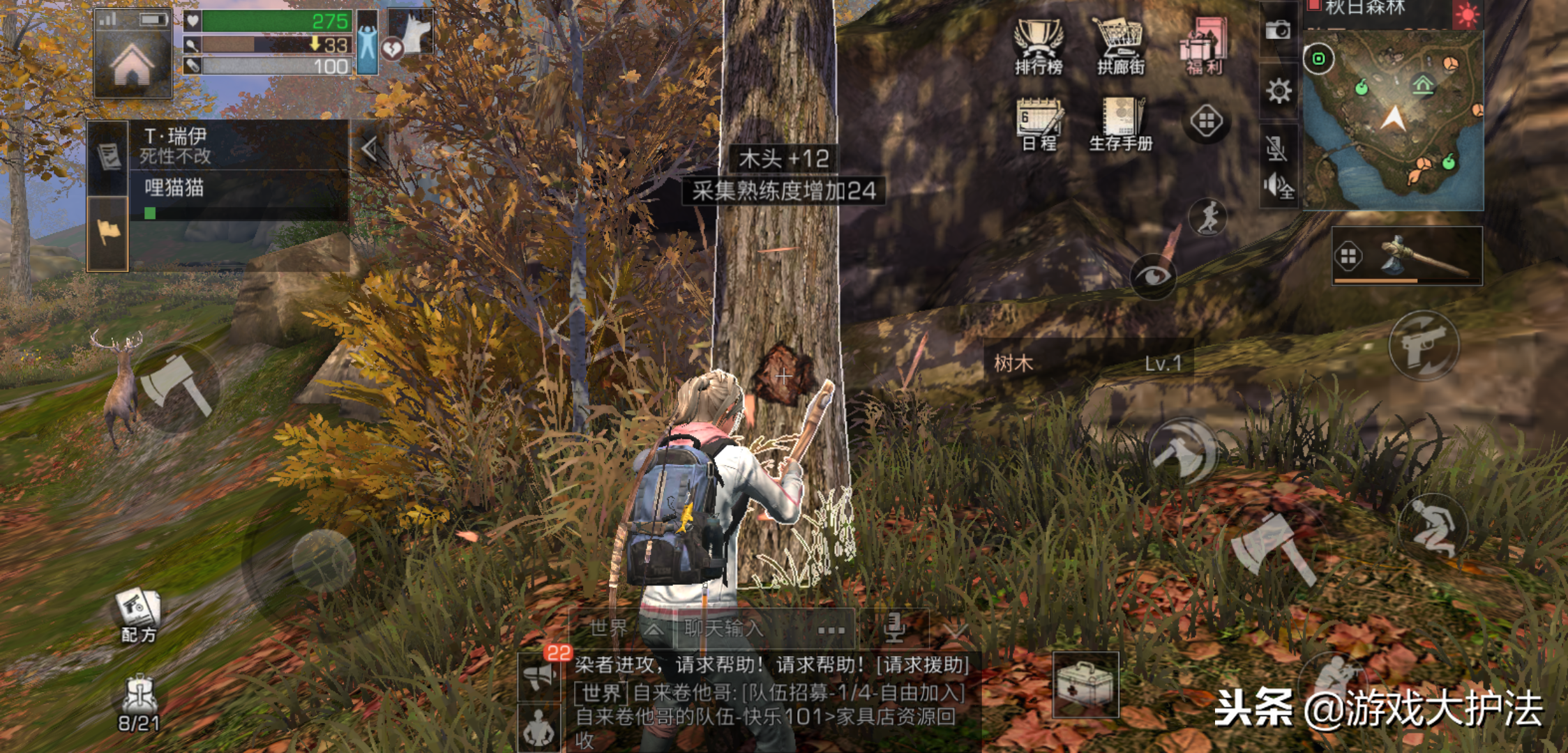 森林弓箭怎么做(森林弩箭可以刷吗)