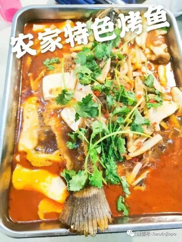 黄丫头是什么鱼，这种鱼不能给孩子多吃（探秘新加坡的“小江西”）