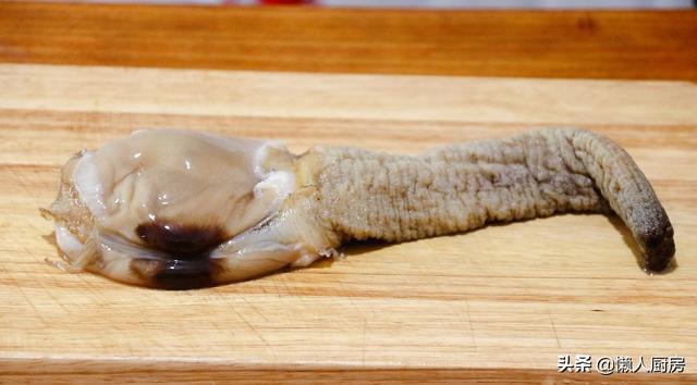 象拔蚌是什么，象拔蚌是什么梗?真正的象拔蚌好吃吗（配上春天的韭菜和豆芽）