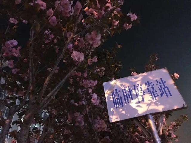 怎么删除空间访问记录，手机QQ怎么删除空间访问记录（幸好朋友圈没有访客记录）