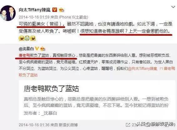 蓝洁瑛到底发生过什么，蓝洁瑛到底发生过什么事情（蓝洁瑛发疯背后原因比想象中更复杂）