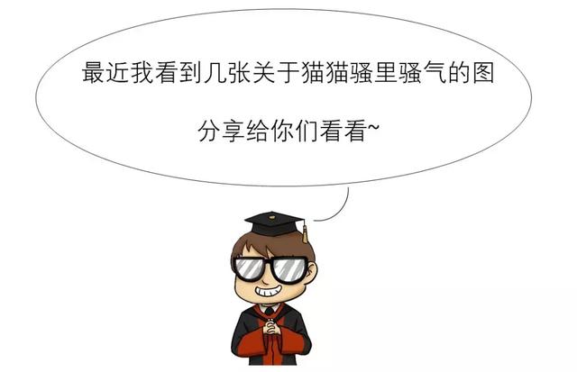 斐波拉契数列，斐波那契数列python（我居然从一只猫身上学到了斐波那契数列）