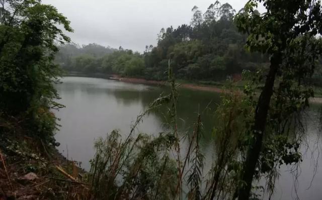 成都周边地区可以野钓的地方,四川周边、成都近郊多个小水库渔情汇总 成都周边地区可以野钓的地方,四川周边、成都近郊多个小水库渔情汇总