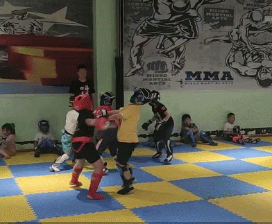 散打和自由搏击哪个更实用，自由搏击和散打哪个杀伤力大（搏击、武术、散打、跆拳道）