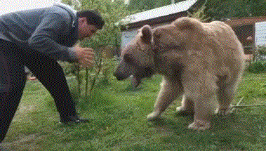 俄罗斯全称叫什么，俄罗斯全称（你不知道的国家冷知识——彪悍的俄罗斯）