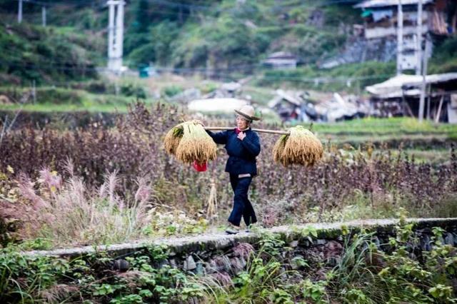 菲律宾长滩岛天气怎么样，菲律宾长滩岛介绍一下（一月份最值得去的旅行地）