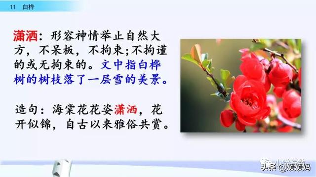 悠扬的近义词，“悠扬”的近义词是什么（四年级下册语文第11课《白桦》图文详解及同步练习）