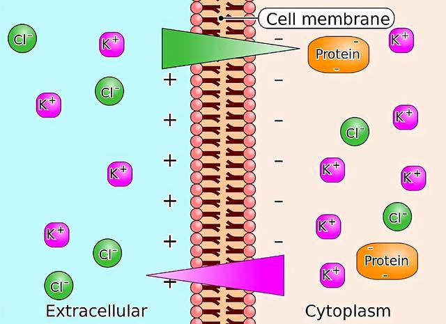 energy什么意思，energy是什么意思（电化学中让人挠头的各种“势”）