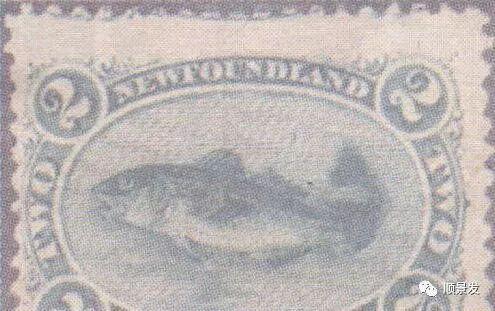 世界上有哪些渔场，世界上有几个渔场（天下“渔仓”——走进世界四大渔场）