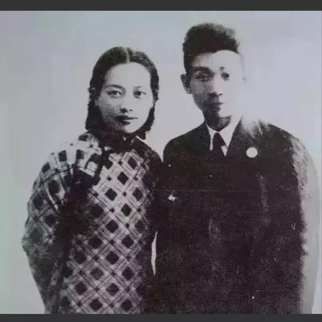 我死在去年夏天，我死在去年夏天剧情（郁达夫写给妻子的信）