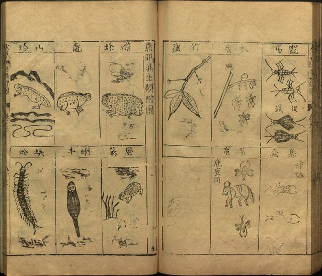本草纲目全书带图，李时珍本草纲目全书（李时珍著《本草纲目》附图卷）
