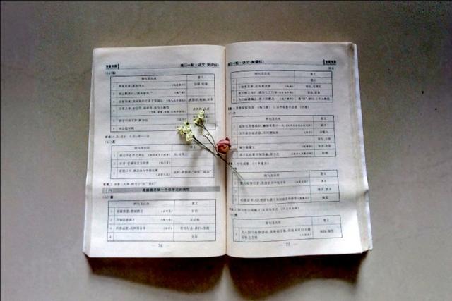 描写春花的诗句，描写春花的诗句有哪些（春风春花春雨春草春阳春树）