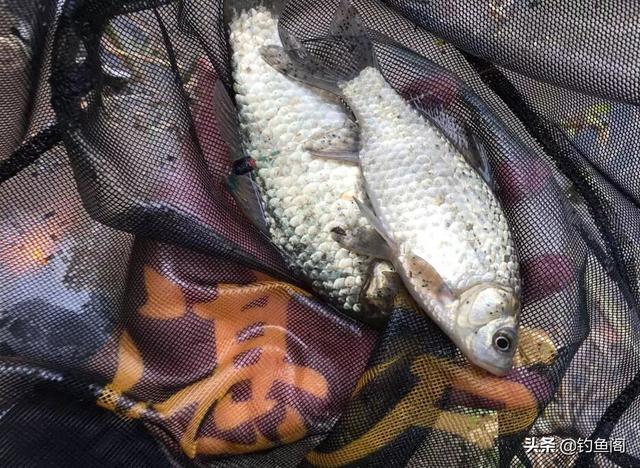 如何钓鱼，如何钓鱼容易上钩（保证比你烧钱买装备有用）