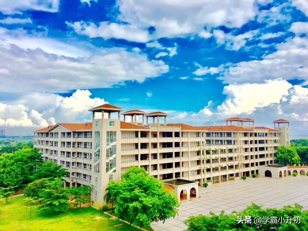 东莞市虎门外语学校（虎门外国语学校2019年小学一年级招生通告）