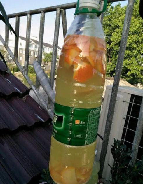 怎样发酵有机肥，教你自制2种“有机肥”