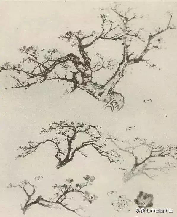 大树怎么画，大树怎么画的特别好看（缠枝、挺杆、屈节、钮裂、一棵树如何画）