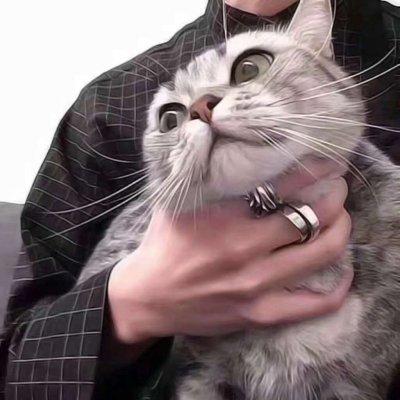 逗比头像，搞笑情头！！微信，逗比头像，搞笑情头！！（2019搞笑一左一右动物情侣微信头像）