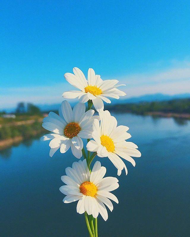 鼓励别人挣钱的话，鼓励别人挣钱的说说（早安心语赚钱感悟）