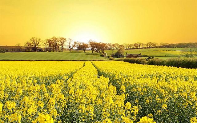 十二星座智商情商双高排行榜，十二星座的智商和情商排名（情商更高的三大星座）