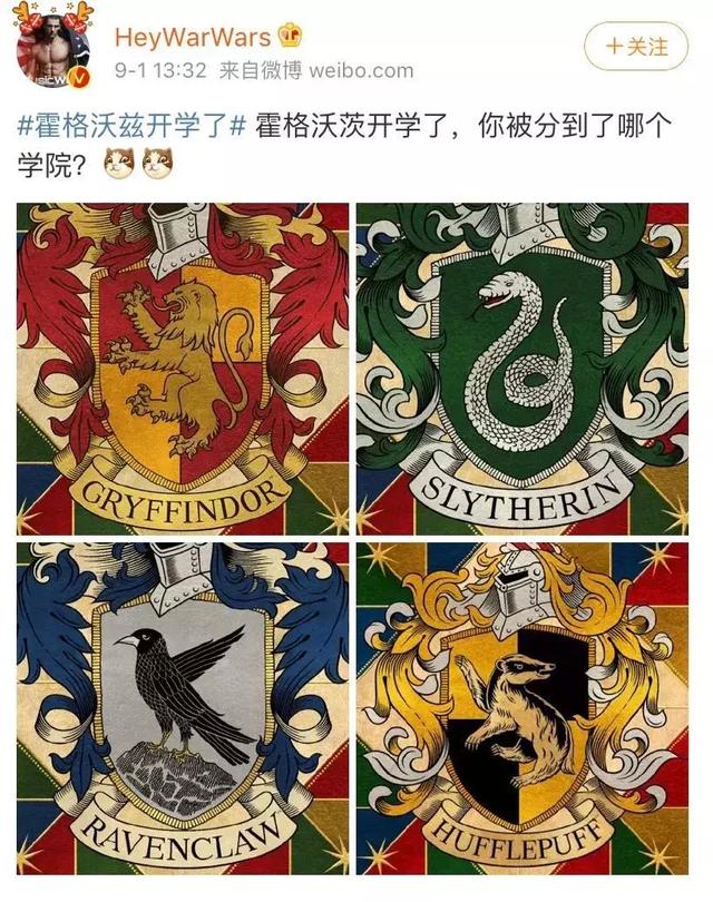 赫敏是哪个学院的，哈利波特为什么蛇院最火（《哈利波特》魔法学霸40岁了）