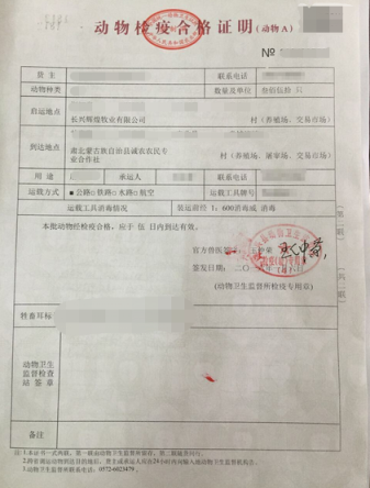 狗狗怎么托运多少钱 狗狗托运怎么托运