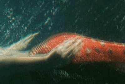 娄烨作品大全，娄烨的1部《苏州河》