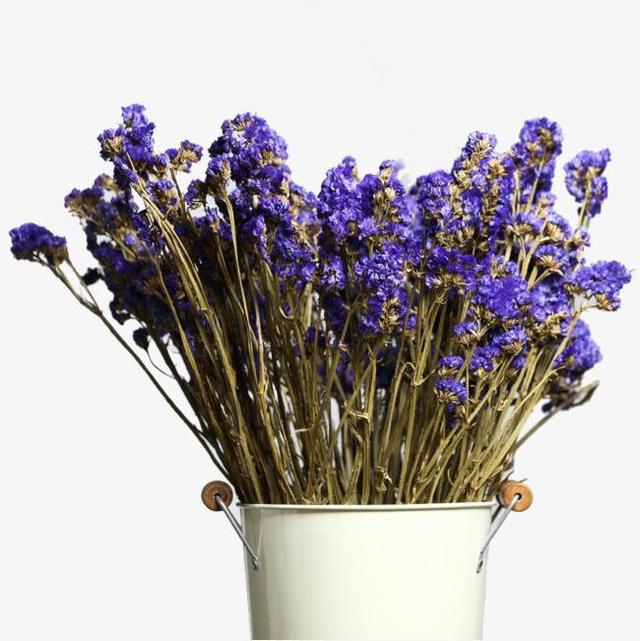 玫瑰花怎么保存时间长，玫瑰花怎么养才不会枯萎（保存时间久爱意更浓烈）