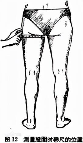 大腿小腿黄金比例，腿长怎么量（女生腿长怎么量）