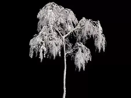 在古代可以用什么词代替雪，在古代对雪的称谓还有哪些（看看古人对雪的24种雅称）