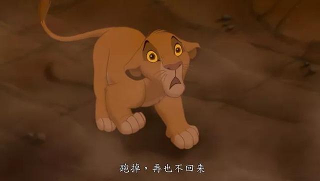 哈库拉马塔塔是什么意思，哈库拉玛塔塔寓意（自由限度下的生命循环）