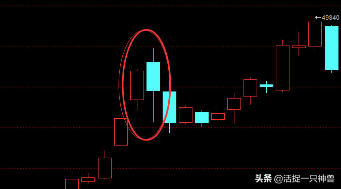 维财金（我的股涯那些日子）