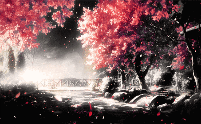 爱莫能助的莫是什么意思，爱莫能助是什么意思（带我们走进千年之美的《诗经》）