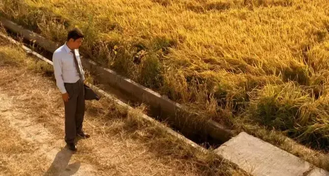 杀人回忆凶手是谁，《杀人回忆》凶手是谁（《杀人回忆》的凶手终于被找到了）