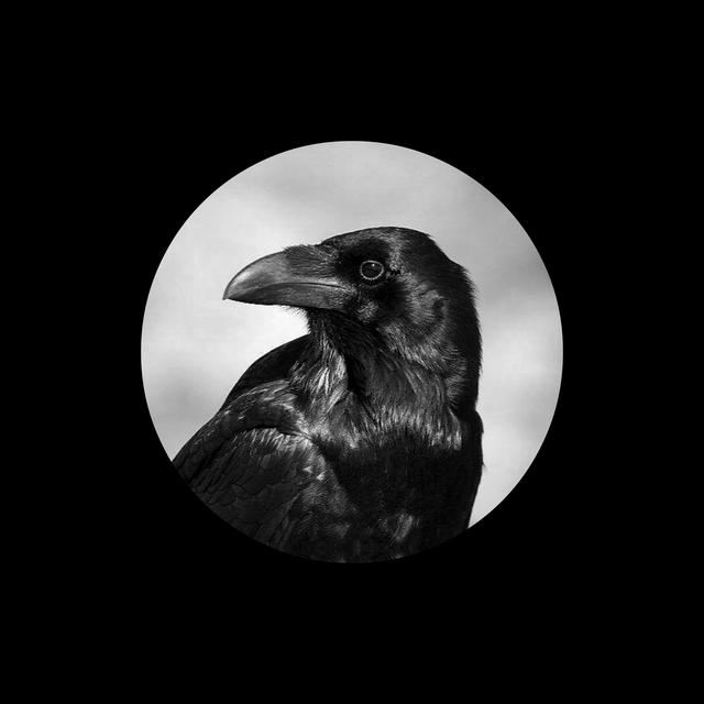 心如止水英文，心如止水英文怎么唱谐音（Paper）